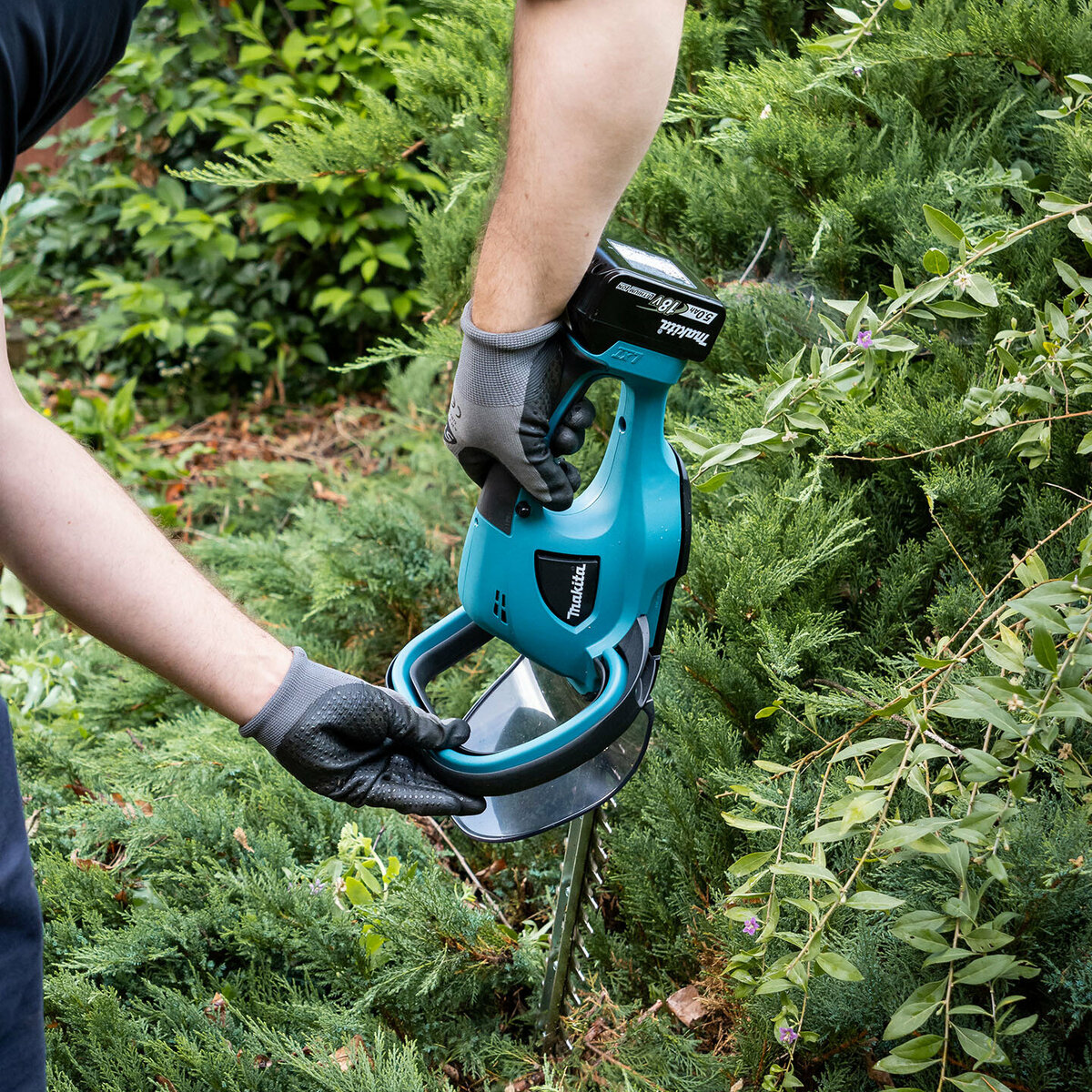 A person is using a hedge trimmer on a hedge