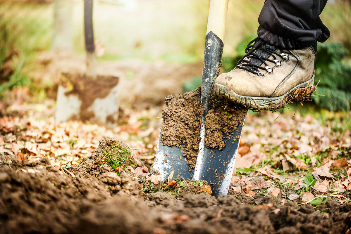 A boot is pushing a shovel into the muddy ground