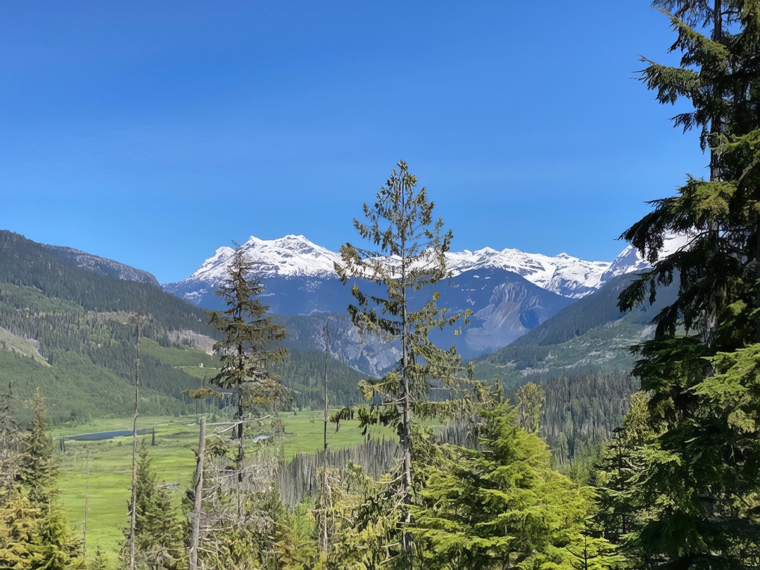 Lush Canadian countryside. Far in the background are snowy mountains